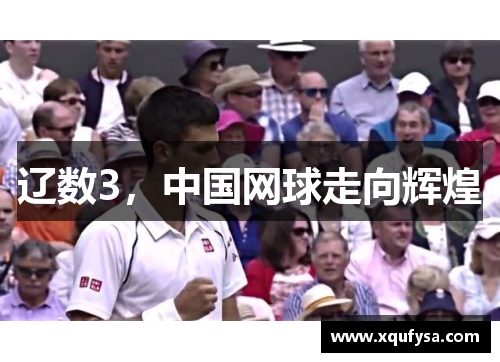 辽数3，中国网球走向辉煌